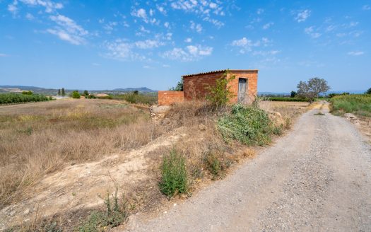 Flat plot with irrigation water (109)