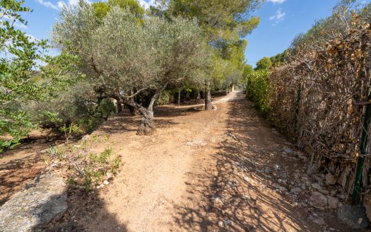 Urban plot of land near Tortosa (97)