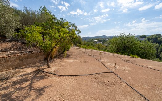 Urban plot of land near Tortosa (97)