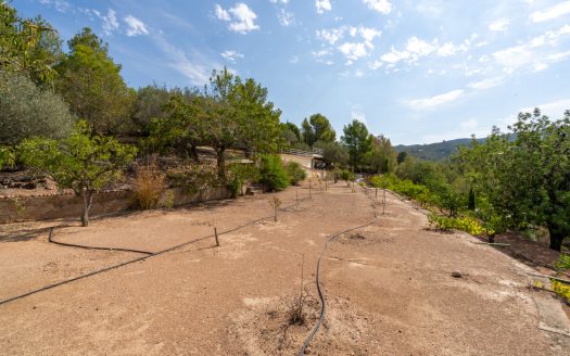 Urban plot of land near Tortosa (97)