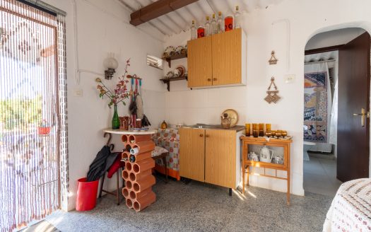 Hort amb casa de camp prop de Roquetes (98)