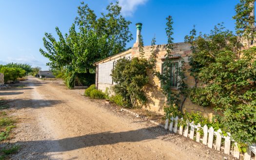 Diverse orchard with a country house (108)