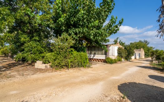 Diverse orchard with a country house (108)