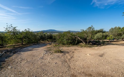 Tu casa en el campo cerca de Tortosa (121)