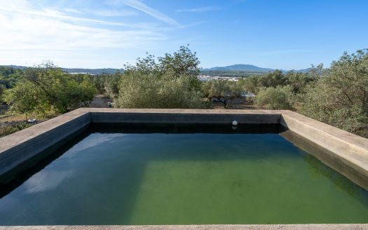 Your rural house near Tortosa (121)