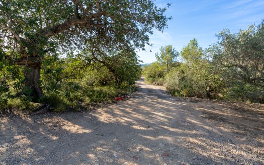 Your rural house near Tortosa (121)