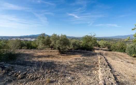 Your rural house near Tortosa (121)