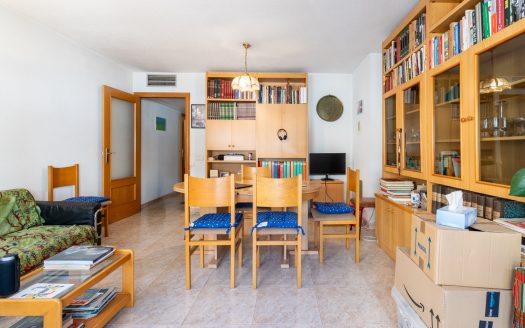 Flat in a central neighborhood (131)