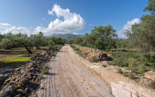 Finca rústica salvatge ubicada en un barranc (141)