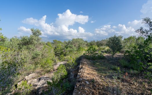 Finca rústica salvatge ubicada en un barranc (141)