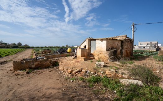 Huerto con masía adosada para reformar (143)