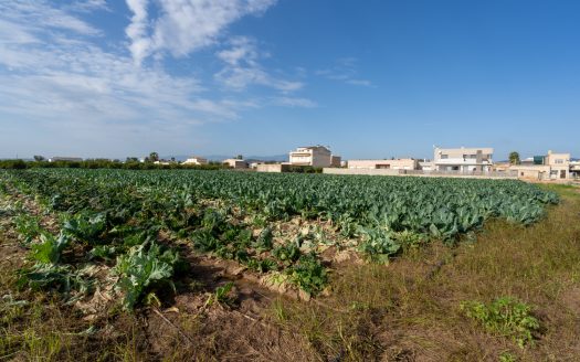 Huerto con masía adosada para reformar (143)