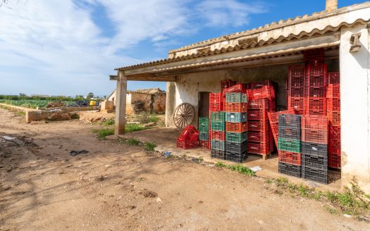 Huerto con masía adosada para reformar (143)