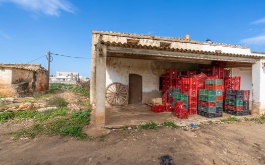 Huerto con masía adosada para reformar (143)