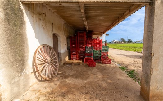 Huerto con masía adosada para reformar (143)