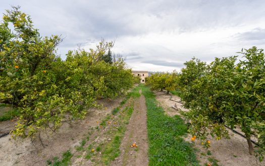 Masía adosada al lado del río (163)