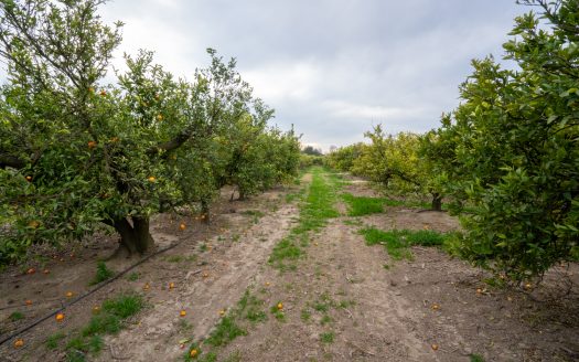 Masía adosada al lado del río (163)