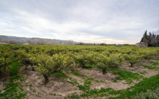 Masía adosada al lado del río (163)