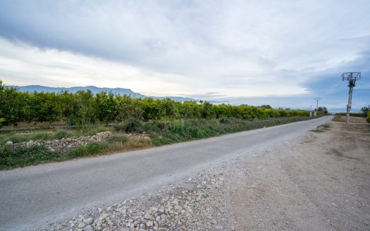 Finca agrícola con mandarinos (164)