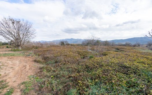 Petita finca amb aigua (168)