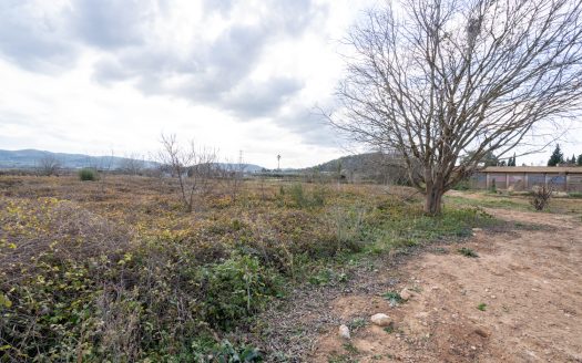 Petita finca amb aigua (168)