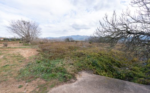 Petita finca amb aigua (168)