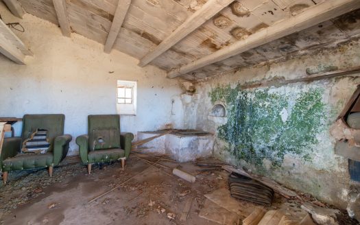 Finca de almendros en plena producción (173)