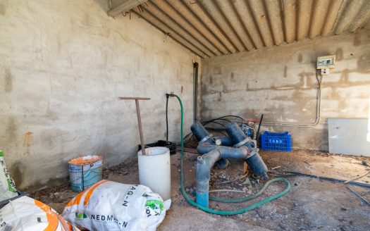 Finca de almendros en plena producción (173)