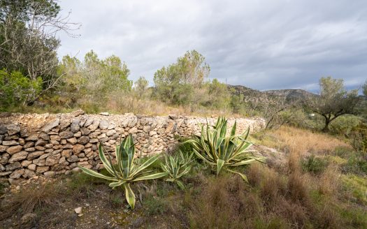 Pura essència (175)