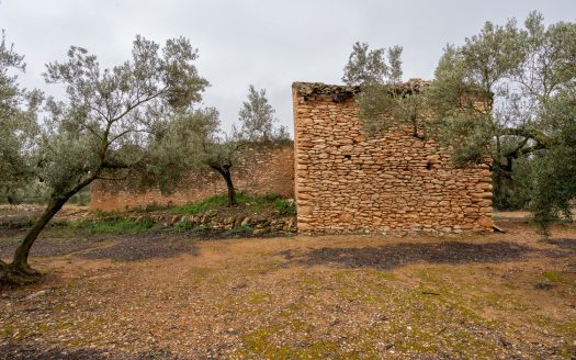 Una finca con ruina y pozo (186)