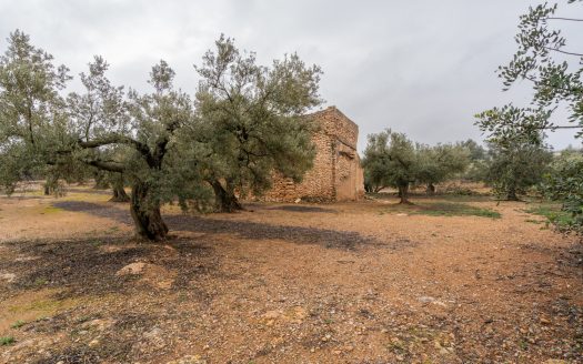 Una finca amb ruïna i pou (186)