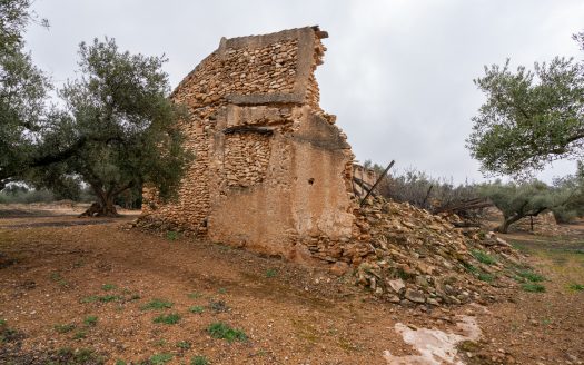 Una finca con ruina y pozo (186)