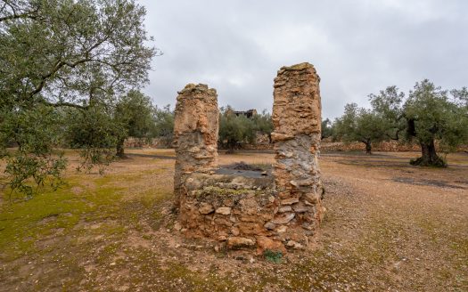 Una finca amb ruïna i pou (186)