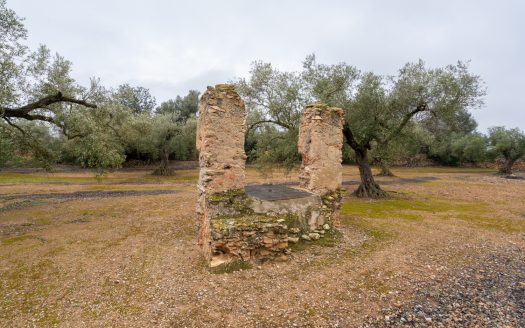 Una finca amb ruïna i pou (186)