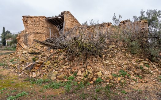 Una finca amb ruïna i pou (186)