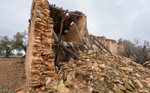 Una finca con ruina y pozo (186)