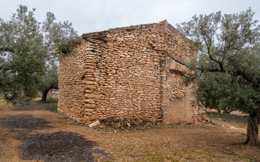 Una finca amb ruïna i pou (186)